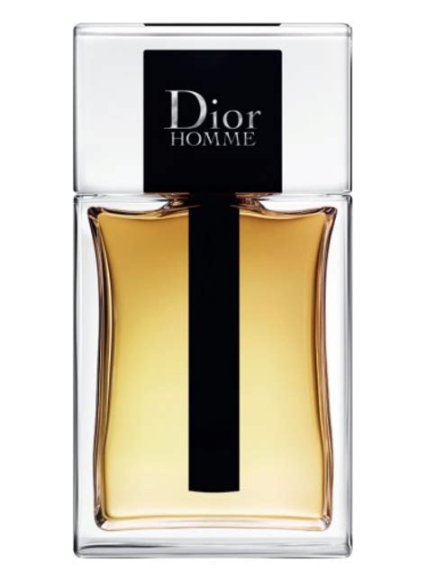 dior homme eau de toilette pouch|christian Dior Homme 2020.